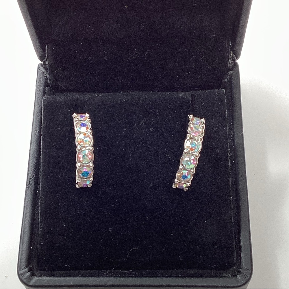 Earrings. 7 Shiny, light catching stones, half hoop, silver setting